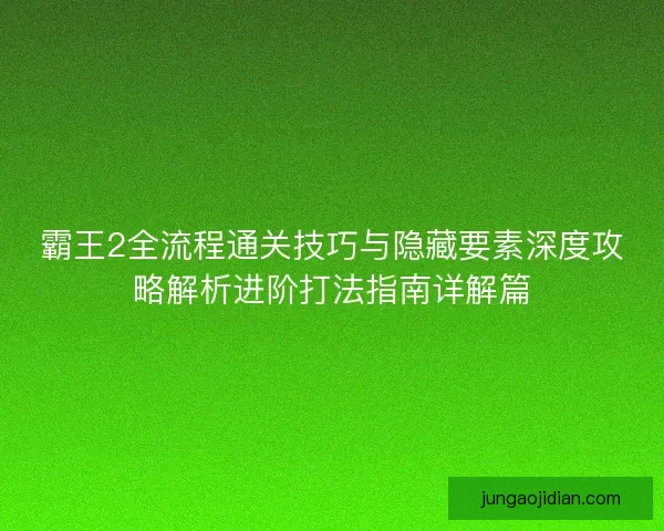 霸王2全流程通关技巧与隐藏要素深度攻略解析进阶打法指南详解篇