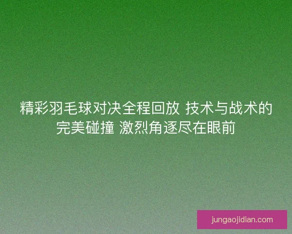 精彩羽毛球对决全程回放 技术与战术的完美碰撞 激烈角逐尽在眼前